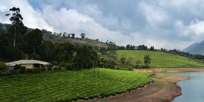 Valparai Tour Package from Chennai