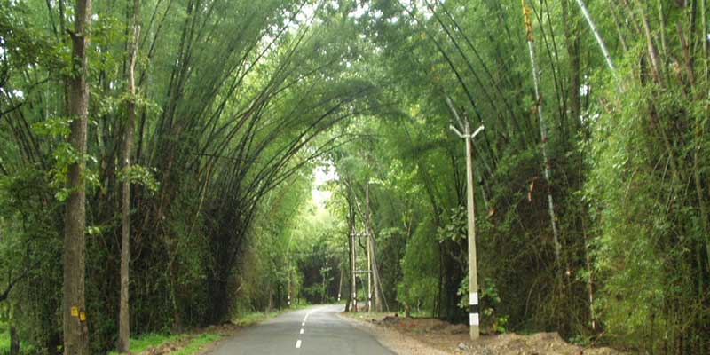 Wayanad Tour Package from Chennai